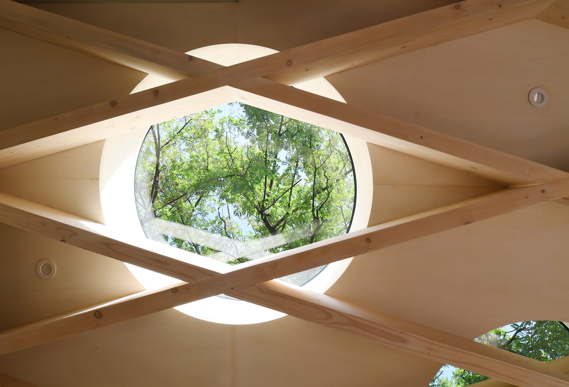 A charred timber garden building with a decorative lattice screen at Garden Room